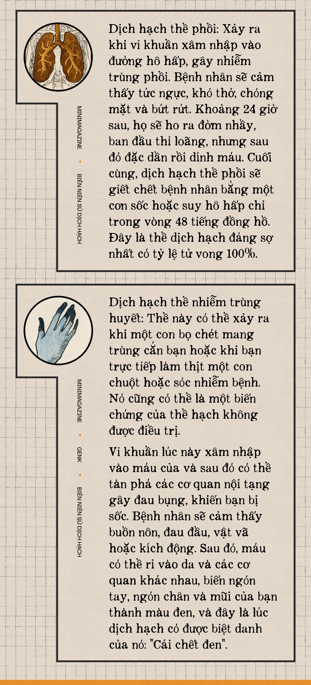 Một biên niên sử về dịch hạch tại Việt Nam và "Cái chết đen" từng xóa sổ 50% dân số Châu Âu trong quá khứ- Ảnh 12.