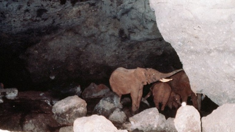 Điều gì khiến cho hang Kitum trở thành nơi nguy hiểm nhất trên Trái Đất?
