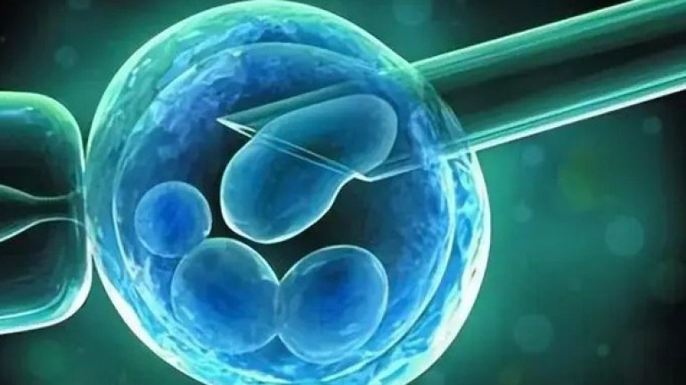 Tăng trưởng ngược: Các nhà khoa học tiết lộ sức mạnh bí ẩn của tế bào