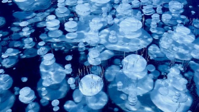Bí ẩn về những bong bóng 'đông lạnh' tại hồ Abraham