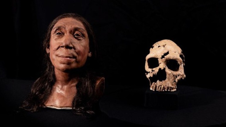 Khuôn mặt thực sự của người Neanderthal trông như thế nào?