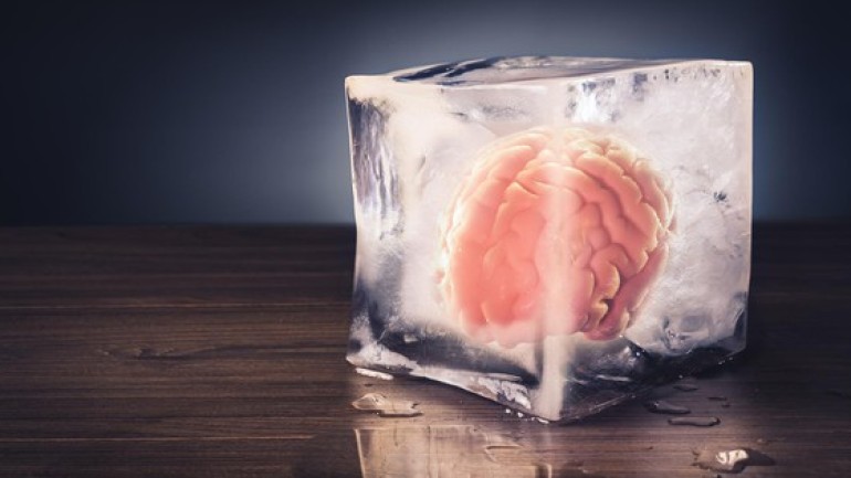Mô não người đông lạnh 18 tháng có thể hoạt động hoàn hảo sau khi rã đông: Liệu đây có phải là sự thật?