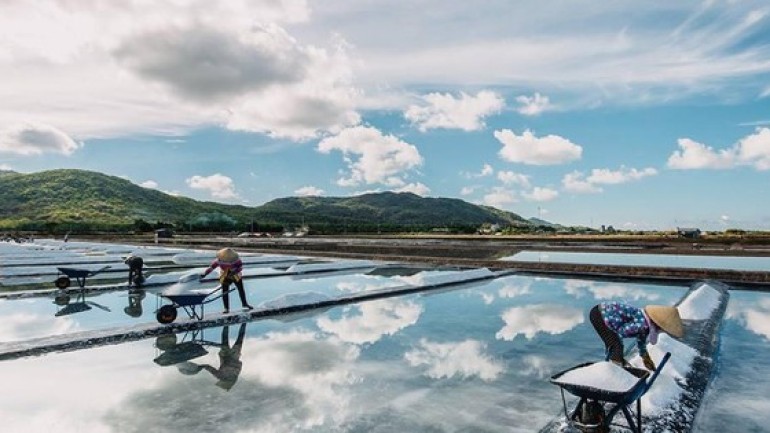 Loại gia vị Việt Nam sản xuất được nhưng vẫn chi hàng tỷ đô nhập khẩu, có rất nhiều tác dụng trong y học