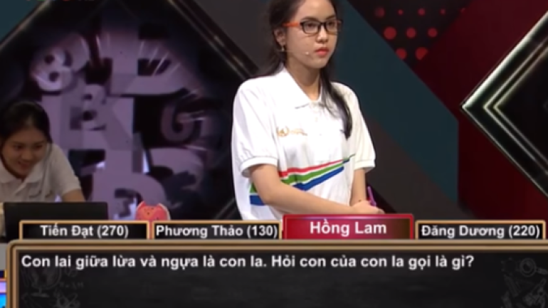 Con lai giữa lừa và ngựa là con la, vậy con của con la gọi là gì? Thí sinh Olympia tưởng trả lời sai, nhưng thực tế lại hóa đúng!